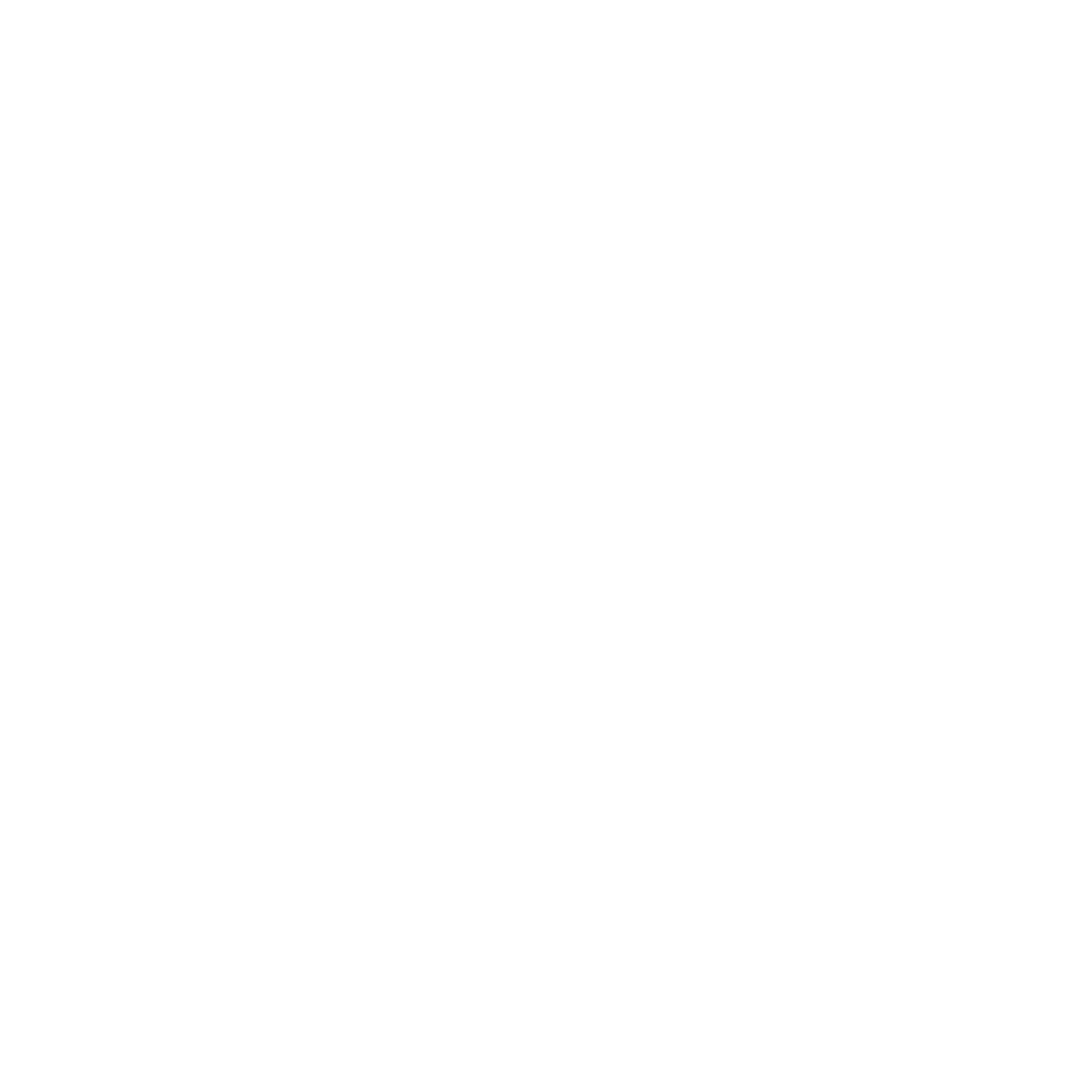 PATHATO SECURITY SERVICE